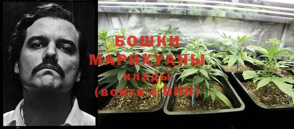 молекула духа Балабаново