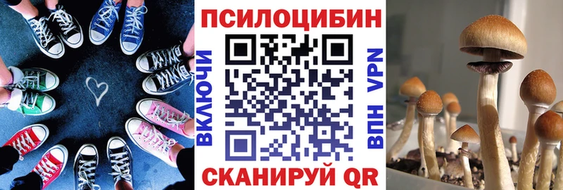 Галлюциногенные грибы MAGIC MUSHROOMS  как найти закладки  Беломорск 